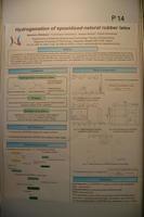 ISE poster 14