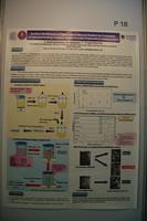 ISE poster 18