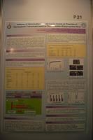 ISE poster 21