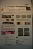 ISE poster 24